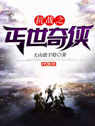 抗战之丐世奇侠